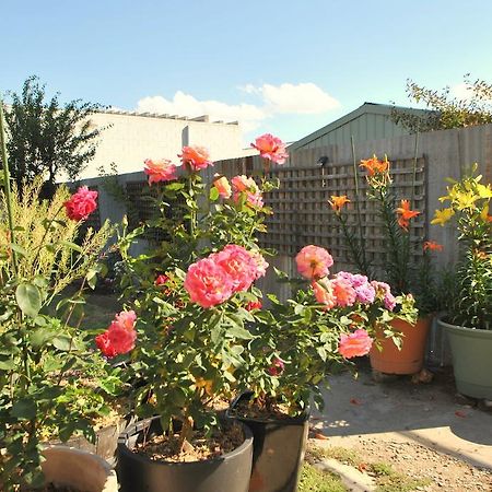 Cooma Cottage Kültér fotó