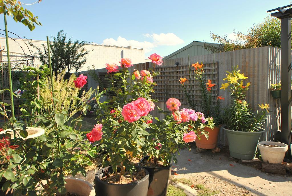 Cooma Cottage Kültér fotó